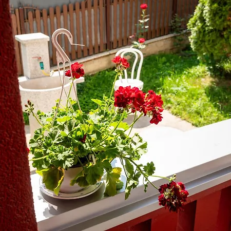 Bjanka Apartament Banja Koviljača