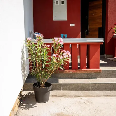 Bjanka Apartment *