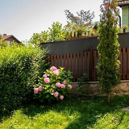 Apartment Bjanka Banja Koviljaca