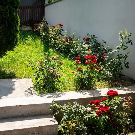Bjanka Apartment