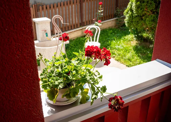 Bjanka 아파트 Banja Koviljača